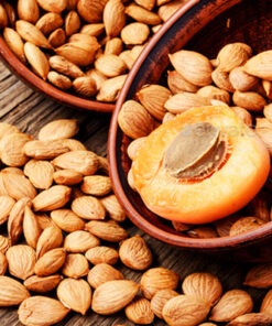 Apricot Kernels