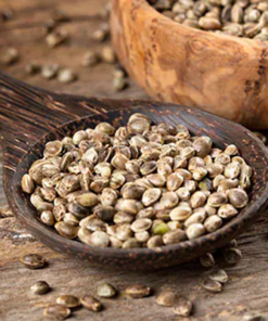 Hemp Seeds